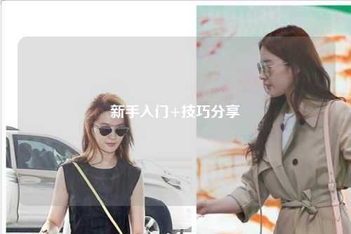 新手入门+技巧分享