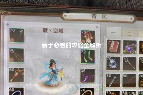 新手必看的攻略全解析