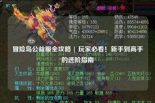 冒险岛公益服全攻略 | 玩家必看!新手到高手的进阶指南