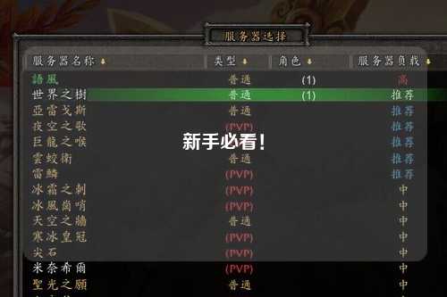 新手必看！