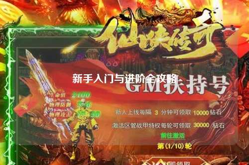 新手入门与进阶全攻略