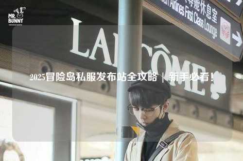 2025冒险岛私服发布站全攻略 | 新手必看!