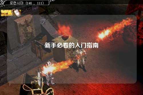 新手必看的入门指南