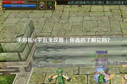 手游私SF平台全攻略 | 你真的了解它吗?