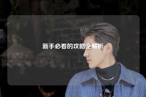 新手必看的攻略全解析