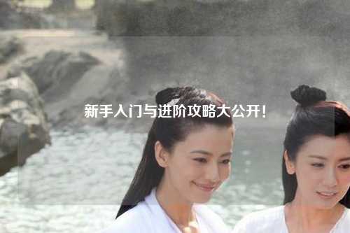 新手入门与进阶攻略大公开!