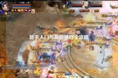 新手入门与高阶技巧全攻略