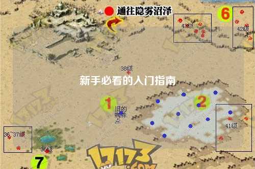 新手必看的入门指南