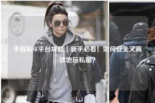 手游私SF平台攻略|新手必看!如何安全又高效地玩私服?