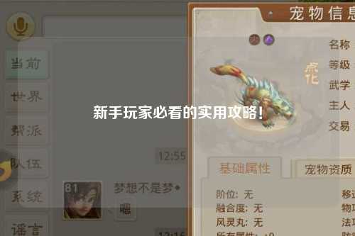 新手玩家必看的实用攻略!