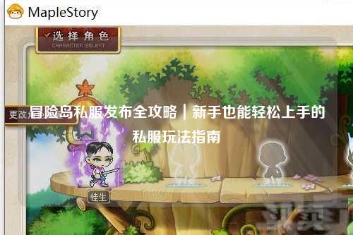 冒险岛私服发布全攻略｜新手也能轻松上手的私服玩法指南