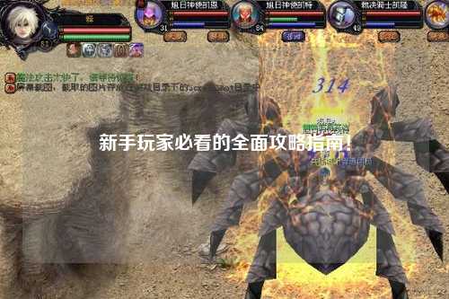 新手玩家必看的全面攻略指南!