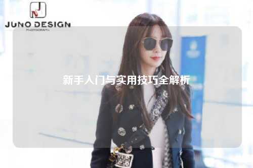 新手入门与实用技巧全解析
