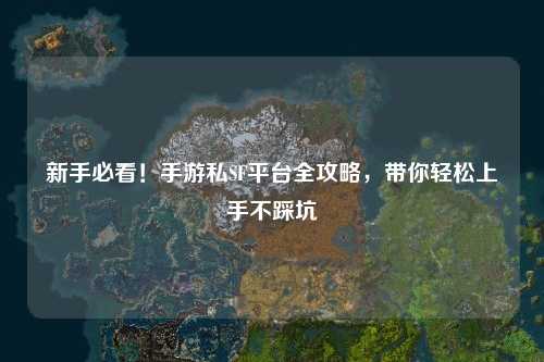 新手必看！手游私SF平台全攻略，带你轻松上手不踩坑