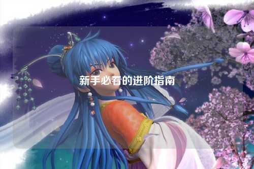 新手必看的进阶指南