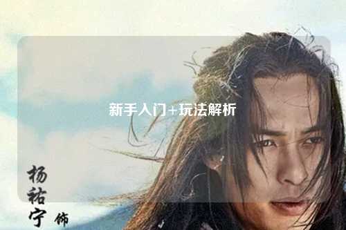 新手入门+玩法解析