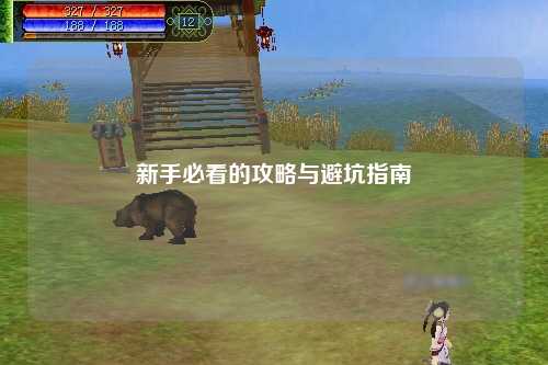 新手必看的攻略与避坑指南