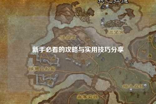 新手必看的攻略与实用技巧分享