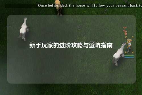 新手玩家的进阶攻略与避坑指南