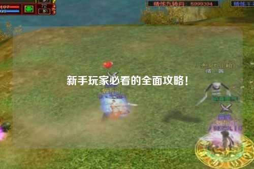 新手玩家必看的全面攻略！