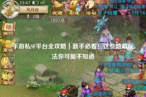 手游私SF平台全攻略｜新手必看！这些隐藏玩法你可能不知道