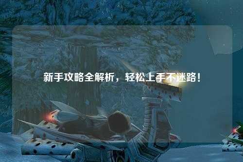 新手攻略全解析,轻松上手不迷路!