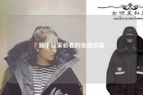 新手玩家必看的全面指南