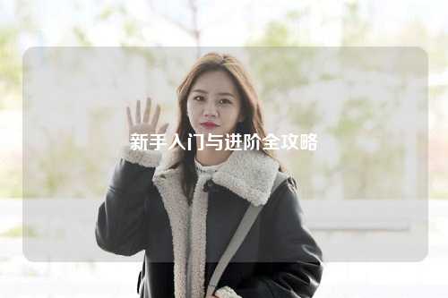 新手入门与进阶全攻略