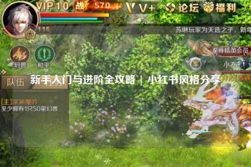 新手入门与进阶全攻略 | 小红书风格分享