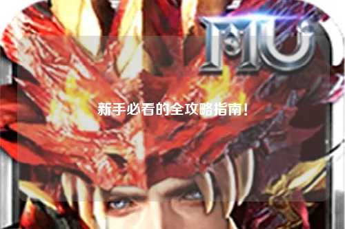 新手必看的全攻略指南！