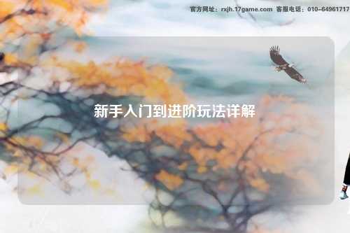 新手入门到进阶玩法详解