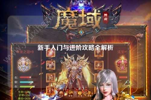 新手入门与进阶攻略全解析