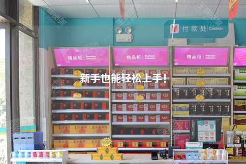 新手也能轻松上手!