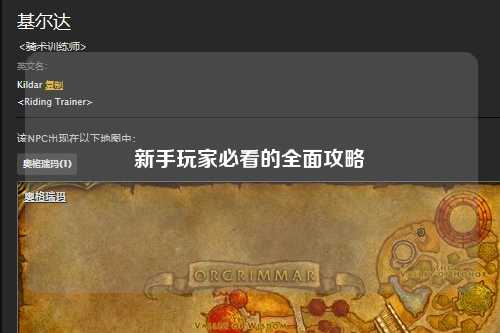 新手玩家必看的全面攻略