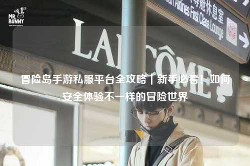 冒险岛手游私服平台全攻略|新手必看!如何安全体验不一样的冒险世界
