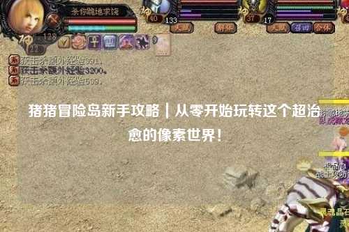 猪猪冒险岛新手攻略|从零开始玩转这个超治愈的像素世界!