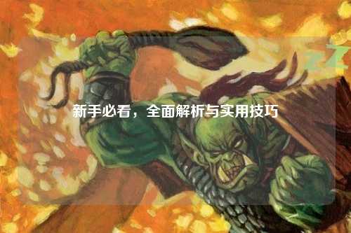新手必看,全面解析与实用技巧