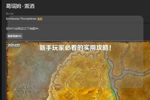 新手玩家必看的实用攻略！